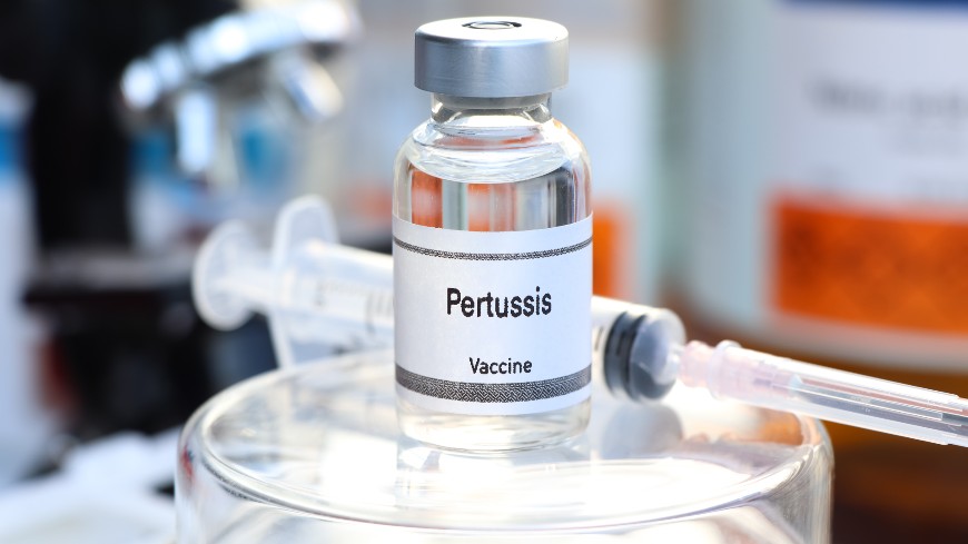 Update on BSP study on the evaluation of a replacement method for the potency control of whole cell pertussis vaccines